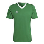 Koszulka męska adidas Entrada 22 Jersey zielona