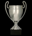 Puchar plastikowy srebrny H-17,5cm, R-75mm 8378B